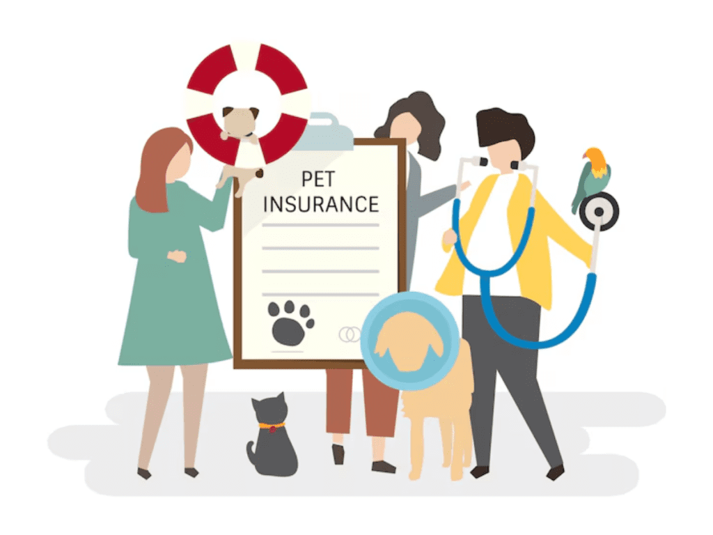 How to Choose the Best Pet Insurance Plan Based on Breed, Age, and Medical History